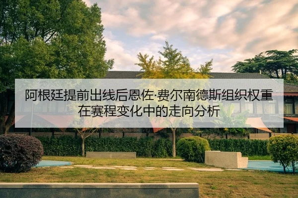 阿根廷提前出线后恩佐·费尔南德斯组织权重在赛程变化中的走向分析